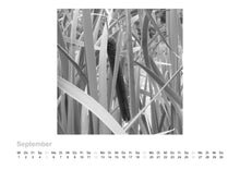 Load image into Gallery viewer, Photo Calendar By Edward D. McKeithen 2021