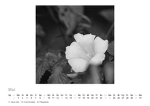 Load image into Gallery viewer, Photo Calendar By Edward D. McKeithen 2021